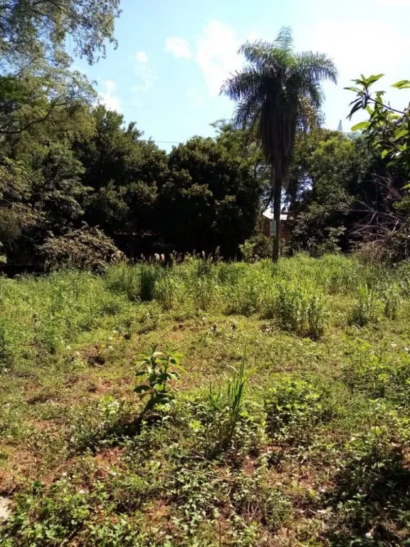 VENDO TERRENO EN ISLA BOGADO LUQUE — foto 2