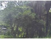 Terreno Zona Villa Elisa