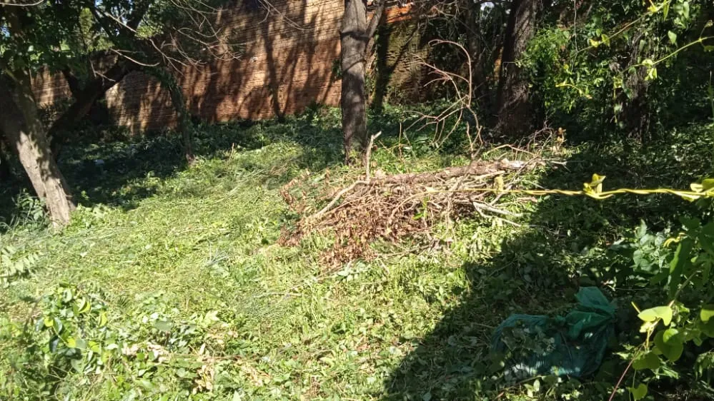 VENDO TERRENO EN SANBER S ASFALTO — foto 3