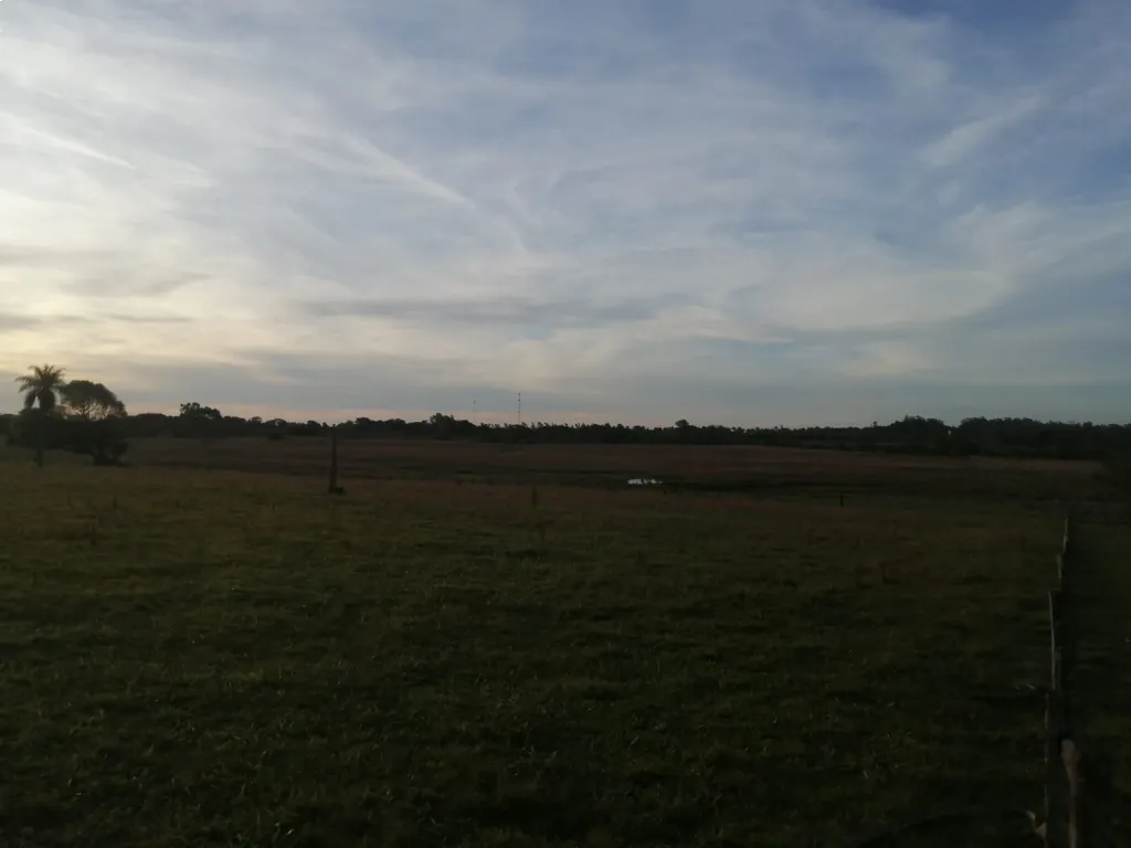 HERMOSO LUGAR EN IBAÑEZ ROJAS, ESTANCIA FORMADA DE 47,5 HECTÁREAS, A METROS DE LA RUTA1 — foto 2