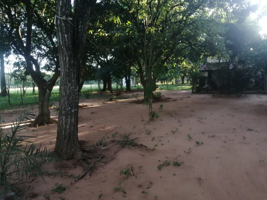 HERMOSO LUGAR EN IBAÑEZ ROJAS, ESTANCIA FORMADA DE 47,5 HECTÁREAS, A METROS DE LA RUTA1 — foto 3