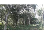 Propiedad de 2 ha. en Ita. oferta por este mes para quinta o granja una belleza. !!