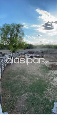 Propiedades rurales - 4.500 Hectareas, zona Toro Pampa camino a Fuerte Olimpo
