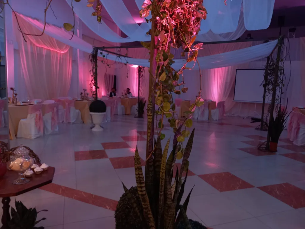 SALON DE EVENTOS — foto 2