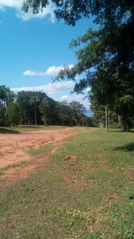 ESTANZUELA ENTRE AREGUA E ITAUGUA — foto 3