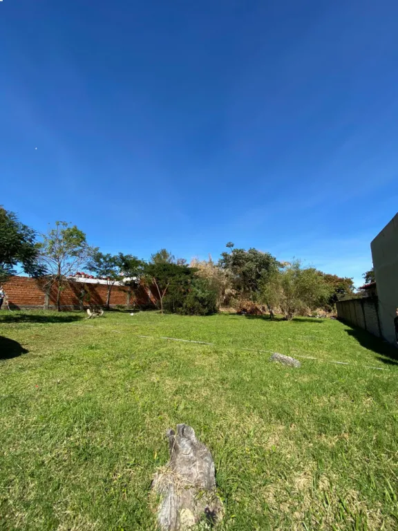 Vendo Terreno en Palma Loma Luque — foto 2