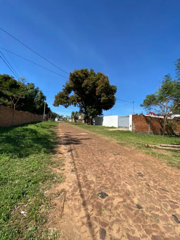 Vendo Terreno en Palma Loma Luque — foto 3