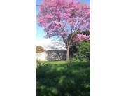 VENDO TERRENO EN ITAUGUA, EXCELENTE UBICACION