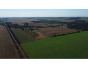 VENDO ESTANCIA EN COLONIA YGUAZU COD 1078