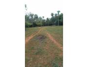 VENDO PROPIEDADES EN ALTOS VARIAS HECTAREAS