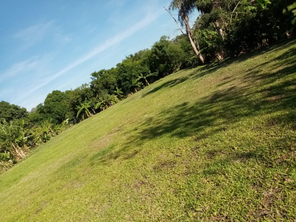 Vendo propiedad 2055 m2 detrás de Mcal López y Sta. Teresa Av. Laguna Grande — foto 2