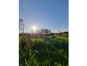 Terreno Venta Capiata Loma Barrero