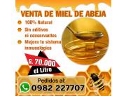 VENTA DE MIEL DE ABEJA