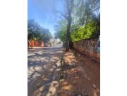 VENDO PROPIEDAD DE 1.000 MTS2 BARRIO VILLA AMELIA SAN LORENZO