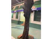 Importante Locación Comercial en el MICRO-CENTRO DE ENCARNACIÓN (uso anterior: SANATORIO)