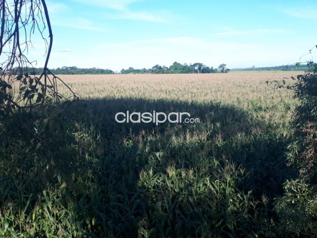 Propiedades rurales - Campo Agrícola/Ganadero en Raúl A. Oviedo - 44 Ha