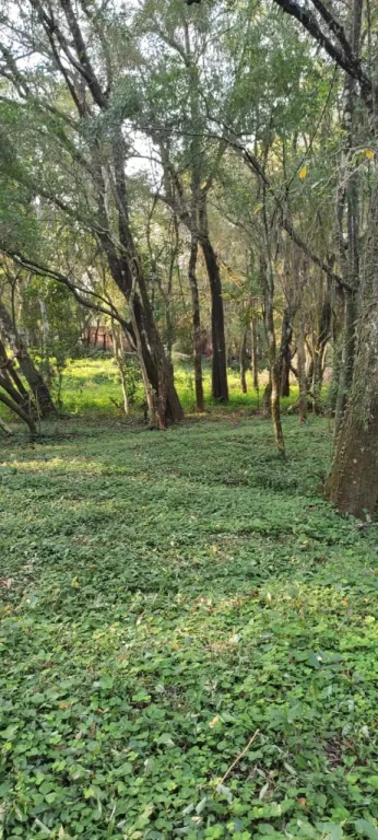 Terreno con arroyo a mts de la ruta 6ta-Zona Encarnación — foto 2