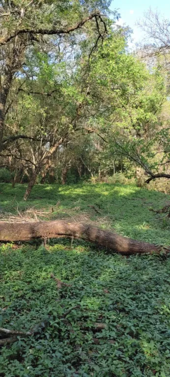 Terreno con arroyo a mts de la ruta 6ta-Zona Encarnación — foto 3