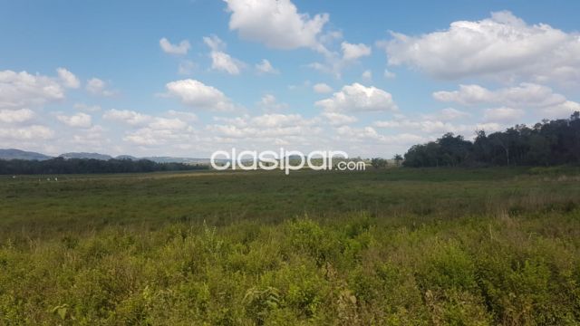 Propiedades rurales - Campo Agrícola/Ganadero en San Pedro del Paraná - 1195 Ha
