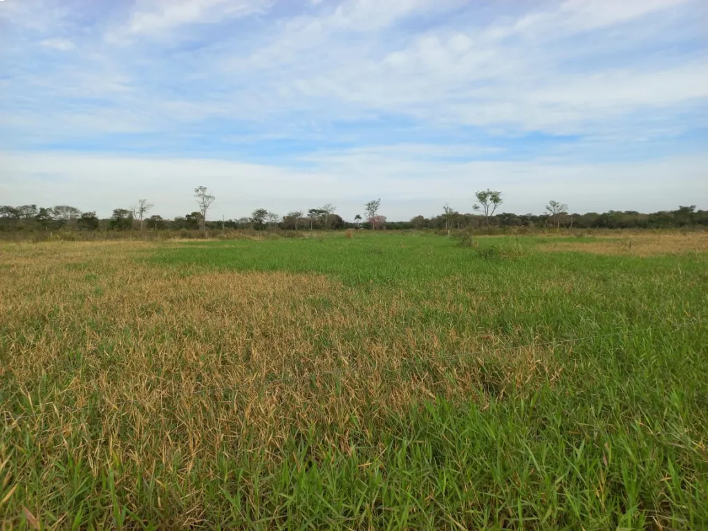 Vendo Campo Concepción — foto 2