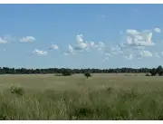 Campo Ganadero en Juan de Mena sobre Ruta Pavimentada - 422 Ha.