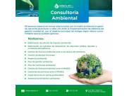 Gestion ambiental, Licencia ambiental, Auditoria ambiental