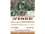 VENDO TERRENO BARRIO MOLINO 3 BOCAS LUQUE-FERNANDO-SAN LORENZO