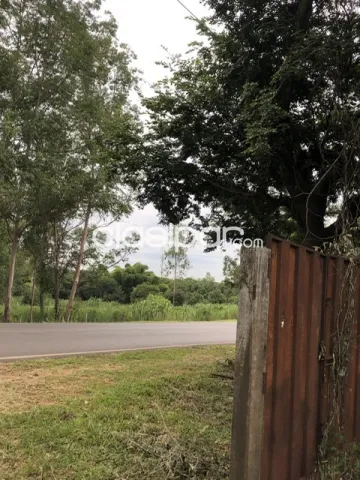 Terreno Aregua sobre calle principal yukyry — foto 3