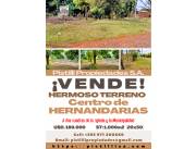 VENDO HERMOSA PROPIEDAD CENTRO DE HERNANDARIAS