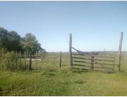 70 hectareas en Quiindy
