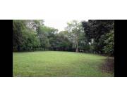 Vendo hermosa propiedad de 14.500 m2 en Villa Elisa