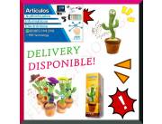 CACTUS BAILARÍN RECARGABLE