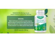 DENATURE MORINGA OLEIFERA EN CAPSULAS DE 500MG