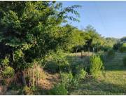 VENDO 20 HECTAREAS EN CARAYAO - CAAGUAZU
