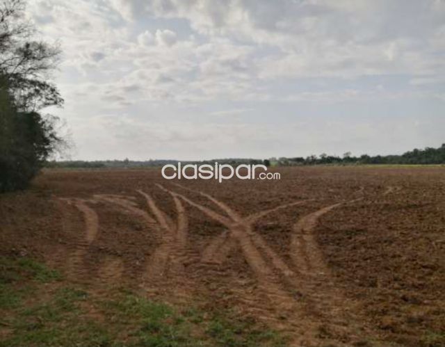 Propiedades rurales - Campo Agricola Mecanizado en Coronel Bogado - 107 Ha.