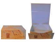 CAJAS ORGANIZADORAS PLAGABLES APILABLES