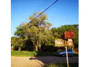 Lote en oferta - ciudad de Limpio!