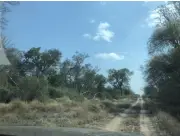 3.500 hectareas - MONTE VIRGEN - PICADA 500 - CRUCE DON SILVIO - POZO HONDO
