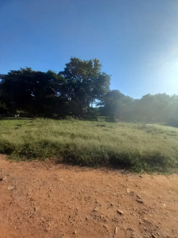 Vendo terreno en Limpio — foto 2