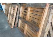 Pallet de exportacion (Eucaliptus Grandis)