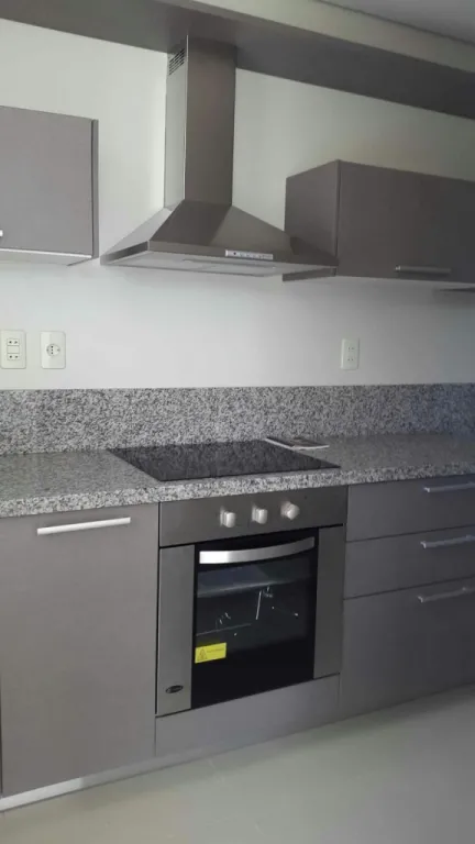 HERMOSO DEPARTAMENTO SIN MUEBLES — foto 3
