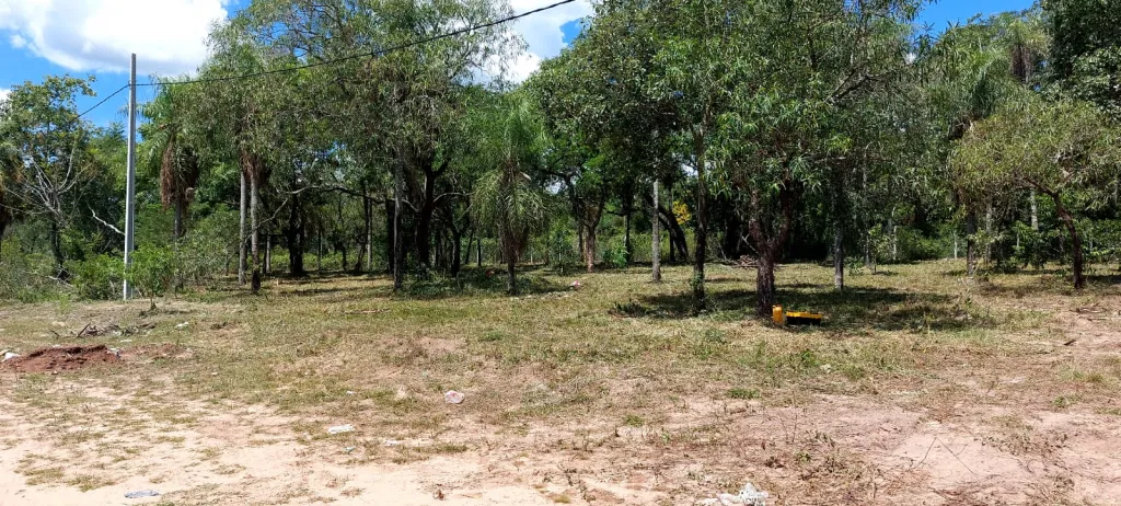 Lotes en San Bernardino (360 m2) — foto 2