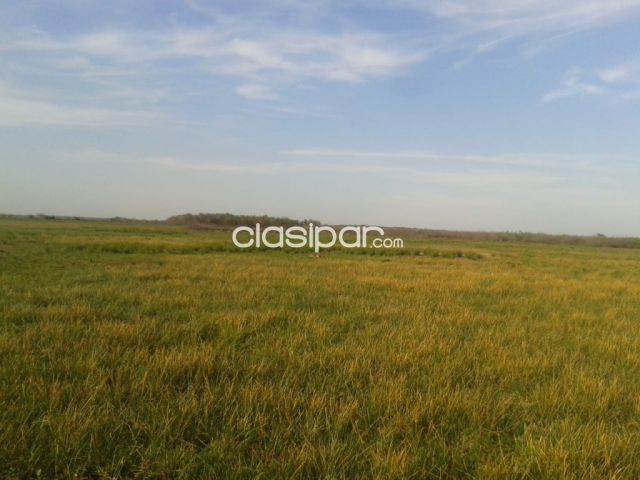 Propiedades rurales - Campo Ganadero/Agricola en Juan de Mena - 209 Ha.