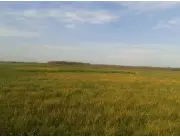 Campo Ganadero/Agricola en Juan de Mena - 209 Ha.
