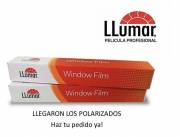 Colocación de polarizado Americano | Premium