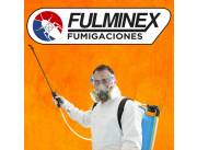 FULMINEX SOLUCIONES - FUMIGACIÓN- CONTROL DE PLAGAS - ELIMINACIÓN DE RATONES - TERMITAS