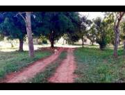 Hermosa propiedad en pindolo