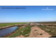 VENDO CAMPO CON CULTIVO DE ARROZ EN CAAPUCU ZONA POTRERO MONTIEL