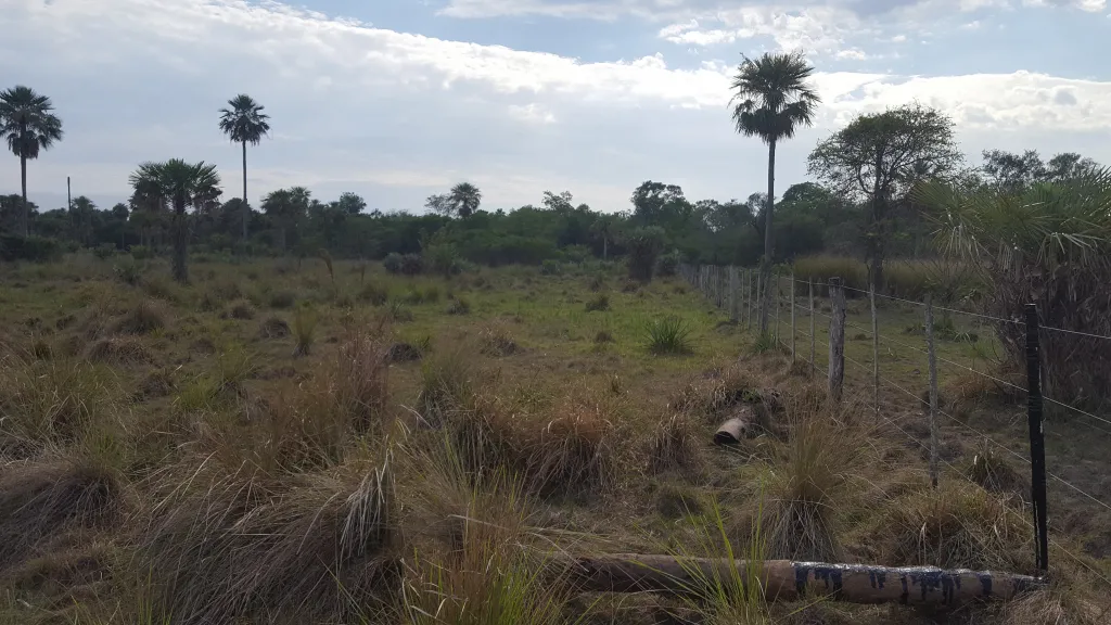 URGENTE!! Campo en Villa Hayes; 300 hectáreas a minutos de la Ruta Transchaco! — foto 2