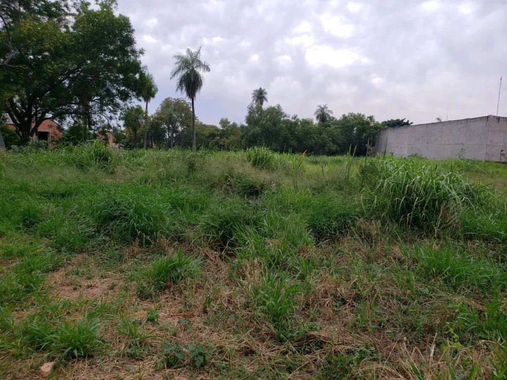Terreno - San Lorenzo — foto 2